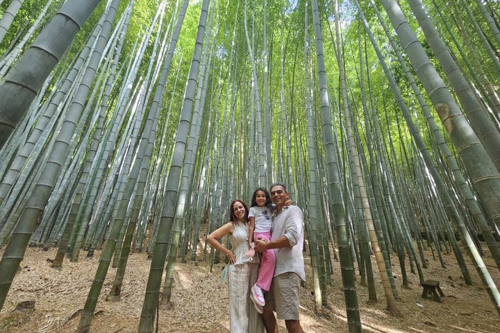 Busan Hidden Gems Private Tour with a Licensed Guide - Photo 1 of 21